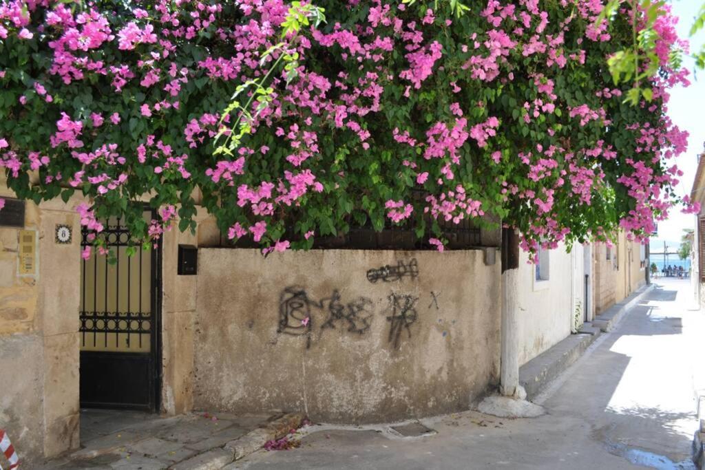 Κέντρο Αίγινα Ήσυχη Κατοικία90Τμ Δίπλα Στη Θάλασσα Exterior foto
