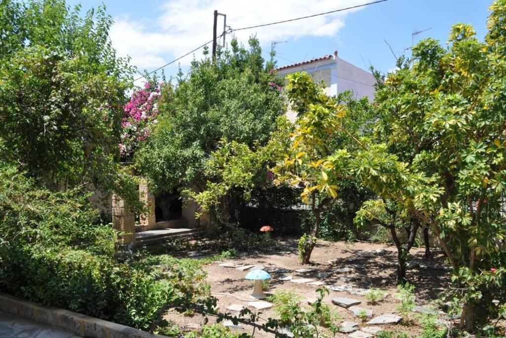 Κέντρο Αίγινα Ήσυχη Κατοικία90Τμ Δίπλα Στη Θάλασσα Exterior foto